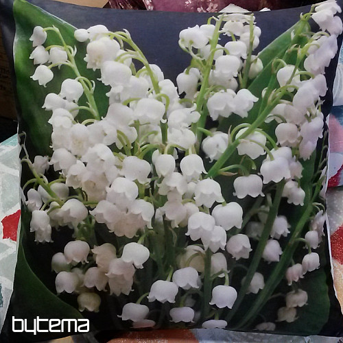 LILY OF THE LILY navlaka za jastuk