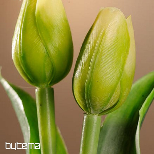 Tulipani mješavina boja