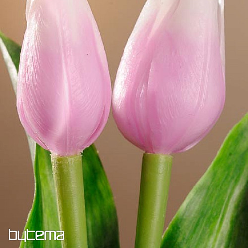 Tulipani mješavina boja