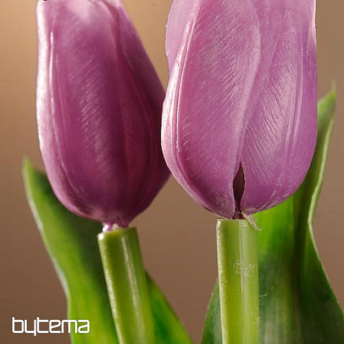 Tulipani mješavina boja