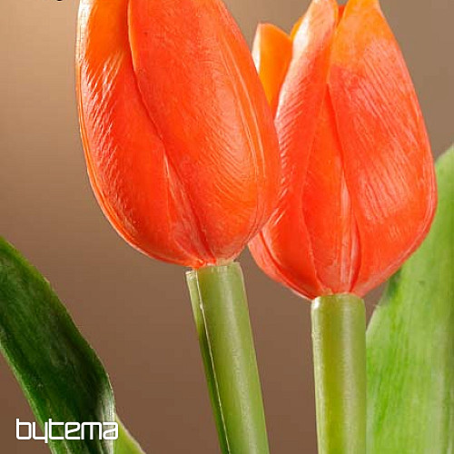 Tulipani mješavina boja