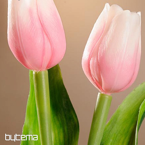 Tulipani mješavina boja