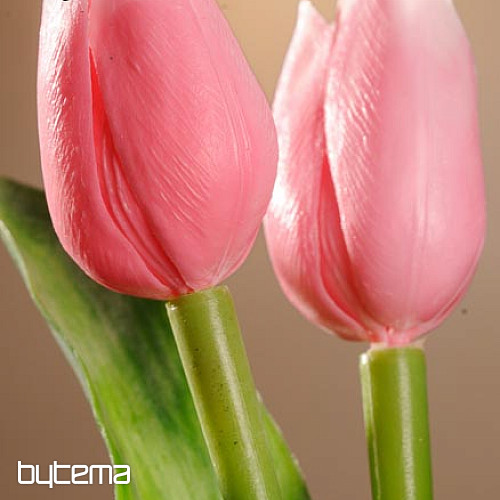 Tulipani mješavina boja
