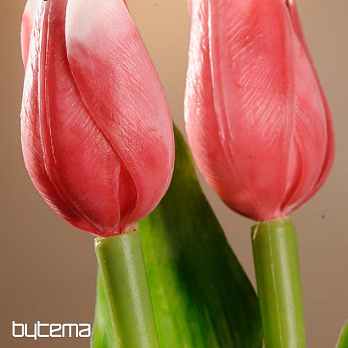 Tulipani mješavina boja