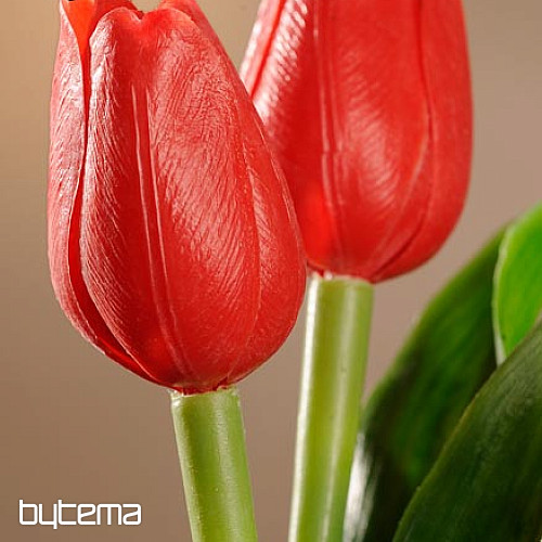 Tulipani mješavina boja
