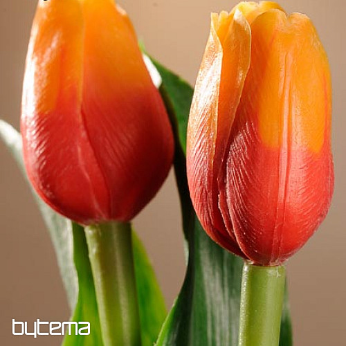 Tulipani mješavina boja