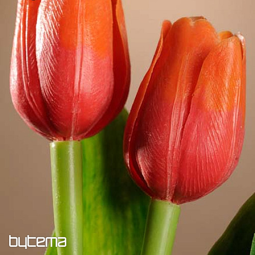 Tulipani mješavina boja