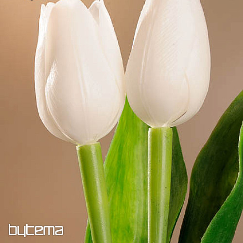Tulipani mješavina boja