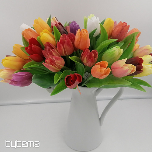 Tulipani mješavina boja
