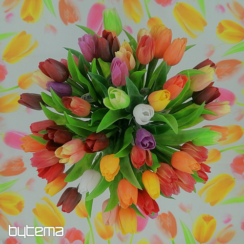 Tulipani mješavina boja